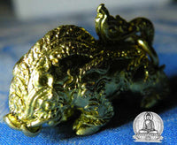 Thai sacred boar amulet Phaya Moo Thong Deng - Wat Bang Phra (temple of the Most Venerable LP Pern) # 17