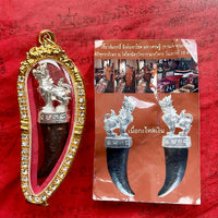 Tiger tooth amulet Kiew Samrit Singh Mahachok Mahaséti – Wat Traimit (2016 edition, n°72/499) # 575