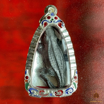 🐊 Amulette Crocodile Jorakey Tone - Luang Phor Thong Panyawaro du Wat Hin Rae Khao # 834 Magic of the Buddha