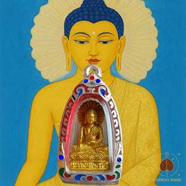 Phra Puttha Metta amulet – Wat Klong Tahin (2018 – Chantaburi) #622