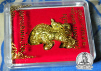 Thai sacred boar amulet Phaya Moo Thong Deng - Wat Bang Phra (temple of the Most Venerable LP Pern) # 17