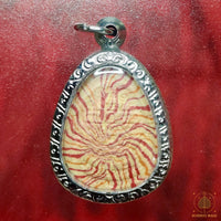 Amulette de fortune Phra Sanghajai - Vénérable Luang Phor Suriyan Kosapanyo du Wat Pa Wang Nam Yen # 870