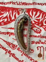 Dent de Tigre Kiew Seuar – Amulette de Puissance et de Protection # 736