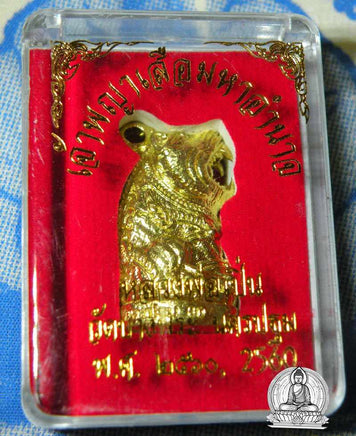Amulette Tigre Jao Phaya Seuar Maha Amnat - Wat Bang Phra (Temple du Très Vénérable LP Pern) # 18 - Magic of the Buddha