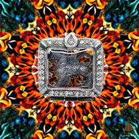 Singharaj Chok Lap en Nawak Loha – Très Vénérable Luang Phor Poon du Wat Pailom # 846 Magic of the Buddha