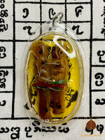Talisman Lak Yom – Luang Phor Mian Kalyano – Wat Ban Chaniang Wanaram # 632