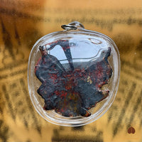 Rare et puissante amulette crâne Mae Hong Prai - Vénérable Luang Phor Somchai du Wat Dan Guien # 850 Magic of the Buddha