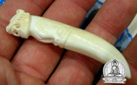 Tiger tooth amulet carved in bone - Wat Bang Phra (Temple of the Most Venerable LP Pern) # 13