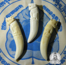 Amulette dent de tigre sculptée en os - Wat Bang Phra (Temple du Très Vénérable LP Pern) # 13