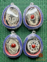 💀 Puissante amulette Mae Hong Prai – Très Vénérable Luang Phor Pinak # 728