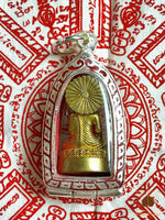 Phra Puttha Metta amulet – Wat Klong Tahin (2018 – Chantaburi) #622