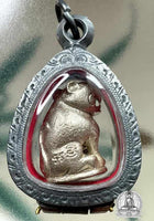 Amulette Tigre - Wat Sorangsok. # 348 - Magic of the Buddha