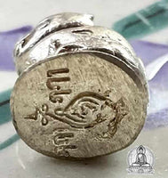 Amulette Tigre - Wat Sorangsok. # 348 - Magic of the Buddha