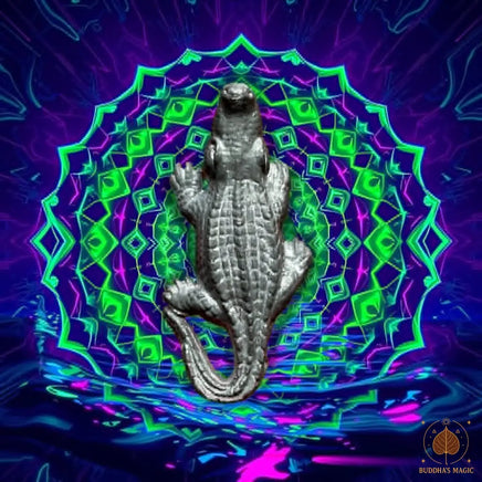 🐊 Amulette Crocodile Jorakey Tone - Luang Phor Thong Panyawaro du Wat Hin Rae Khao # 834 Magic of the Buddha