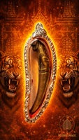 Dent de Tigre Kiew Seuar – Amulette de Puissance et de Protection # 736