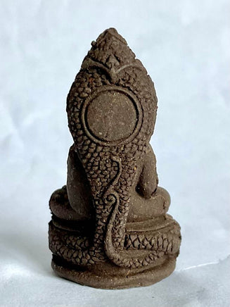 Amulette Phra Naphok Gao-Na (Bouddha à Neuf Têtes) – Wat Pa Mu (2005) # 558 Magic of the Buddha
