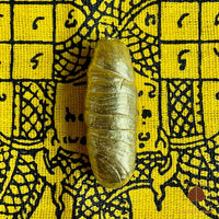 Lek Lai See Thong - Favorise la méditation et l'obtention des Siddhi (pouvoirs paranormaux)   # 119