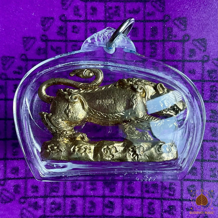 🐯 Amulette tigre Phayak Khao Burapha - Très Vénérable Luang Phor Boonma Chotithammo # 840 Magic of the Buddha