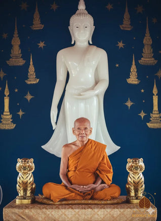 Ceinture protectrice Kemkat Seuar aux neuf tigres et Bia Gae – Vénérable Luang Phor Djua du Wat Klang Bang Geow # 810 Magic of the Buddha