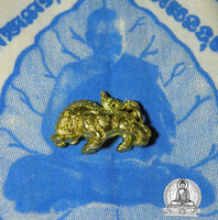 Thai sacred boar amulet Phaya Moo Thong Deng - Wat Bang Phra (temple of the Most Venerable LP Pern) # 17