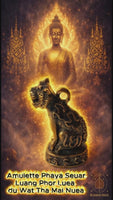🐯 Phaya Seuar Roon Mang Mee Tawee Sap Tiger Amulet - Venerable Luang Phor Luea of ​​Wat Tha Mai Nuea #835