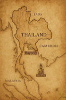 🐖 Amulette cochon "Moo-Moo" (seconde édition – 1998) bénie par Ajarn Sakorn # 713 Magic of the Buddha