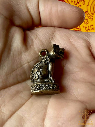 🐯 Amulette Tigre Phaya Seuar Roon Mang Mee Tawee Sap - Vénérable Luang Phor Luea du Wat Tha Mai Nuea # 835 Magic of the Buddha