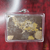 Amulette tigre Phaya Suear Non Kin - Très Vénérable Luang Phor Djua Piyasillo du Wat Klang Bang Keow # 845 Magic of the Buddha