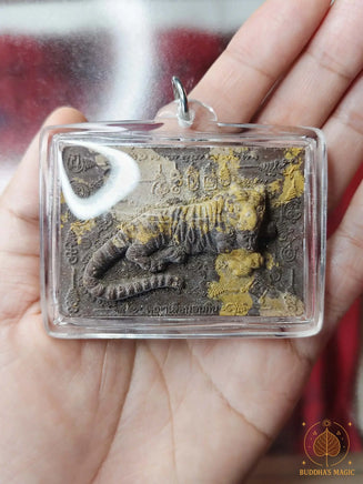 Amulette tigre Phaya Suear Non Kin - Très Vénérable Luang Phor Djua Piyasillo du Wat Klang Bang Keow # 845 Magic of the Buddha
